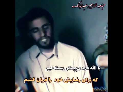 امیر عبدالمالک ریگی بلوچ