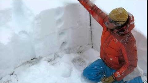 North facing snowpack structure at below treeline elevation. 2/28/15