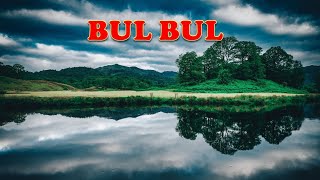 Bul Bul - Mamed Tagirov (Ahiska Müzik)(Ахыска)