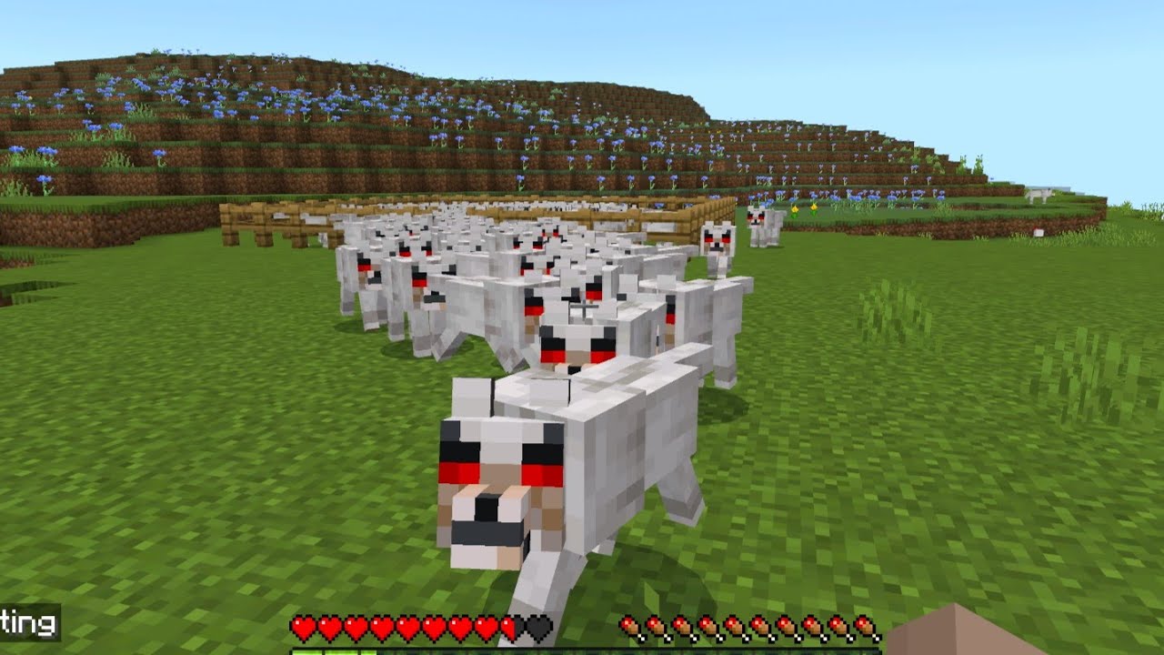 I MADE 100 DOGS ANGRY!!!!!! (MINECRAFT) - YouTube