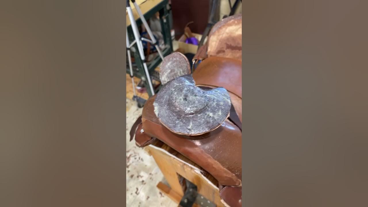 Saddle horn wrap and sewn YouTube