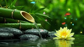 Blissful Piano Harmony and Bamboo Water Sounds – Relaxing Music for Stress Relief and Sleep
