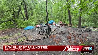 Man at Des Moines homeless encampment dies after being hit by falling tree