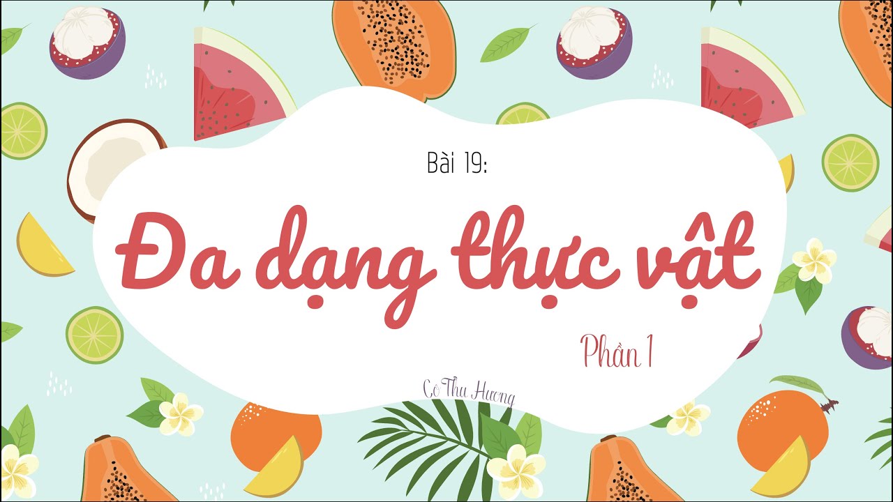 Bài 19: ĐA DẠNG THỰC VẬT (phần 1) - KHTN lớp 6 - Sách... - youtube