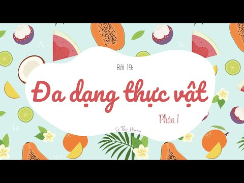 Video Bài 19: ĐA DẠNG THỰC VẬT (phần 1) - KHTN lớp 6 - Sách... - youtube