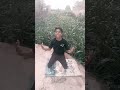 #*trending video#*sotetws#vedeo#*@arunpal100* #trending #song #vaeral #funny # #love #ful 💖🥰💖