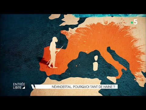 Vidéo: Différence Entre Homosapien Et Neandertal