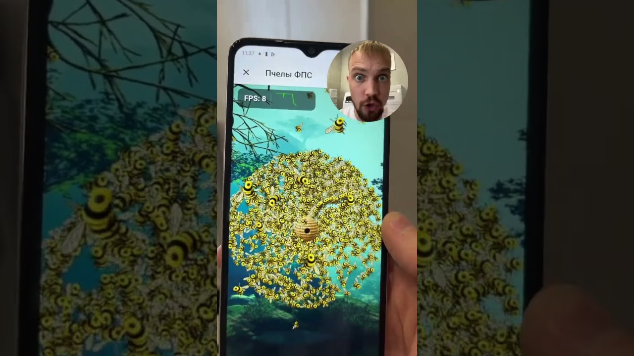 Пчелы это вам не зайцы