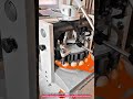 Dough Divider Rounder Machine with 30 Equal Portions and 1200 Dough Pieces Per Hour Output