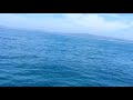نه هه نگي شيني ده ريا به ژير كه شتيه كدا ده روات هاوارو ده نگي گه شتياره كاني كه شتيه كه ببيستن نه هه نگي شيني ده ريا به ژير كه شتيه كدا ده روات هاوارو ده نگي گه شتياره كاني كه شتيه كه ببيستن