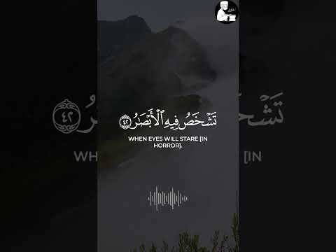 ولا تحسبن الله غافلا عما يعمل الظالمون فارس عباد القرآن الكريم 