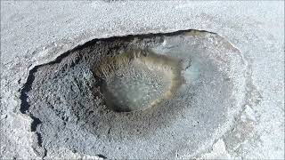 Topsoil Spring (2024) - Part 2