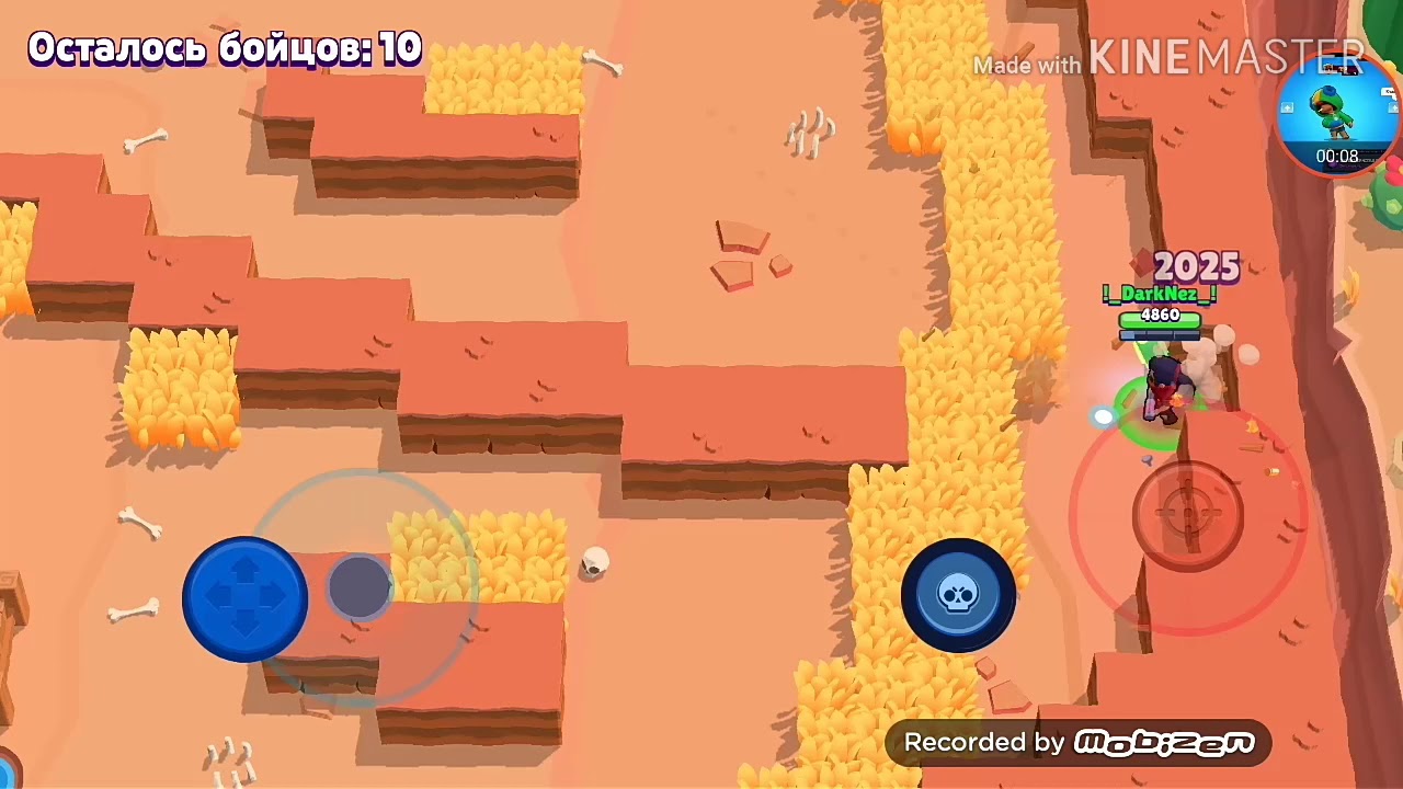 Play in BrawlStars.Playing on a lovely Persian.
