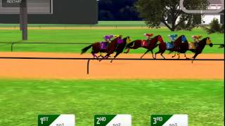 Horse Racing 3D screenshot 3