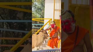 Radha Gori Gori Song