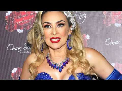 Video Aracely Arámbula reacciona a los rumores de romance de su hijo con Fátima Bosch