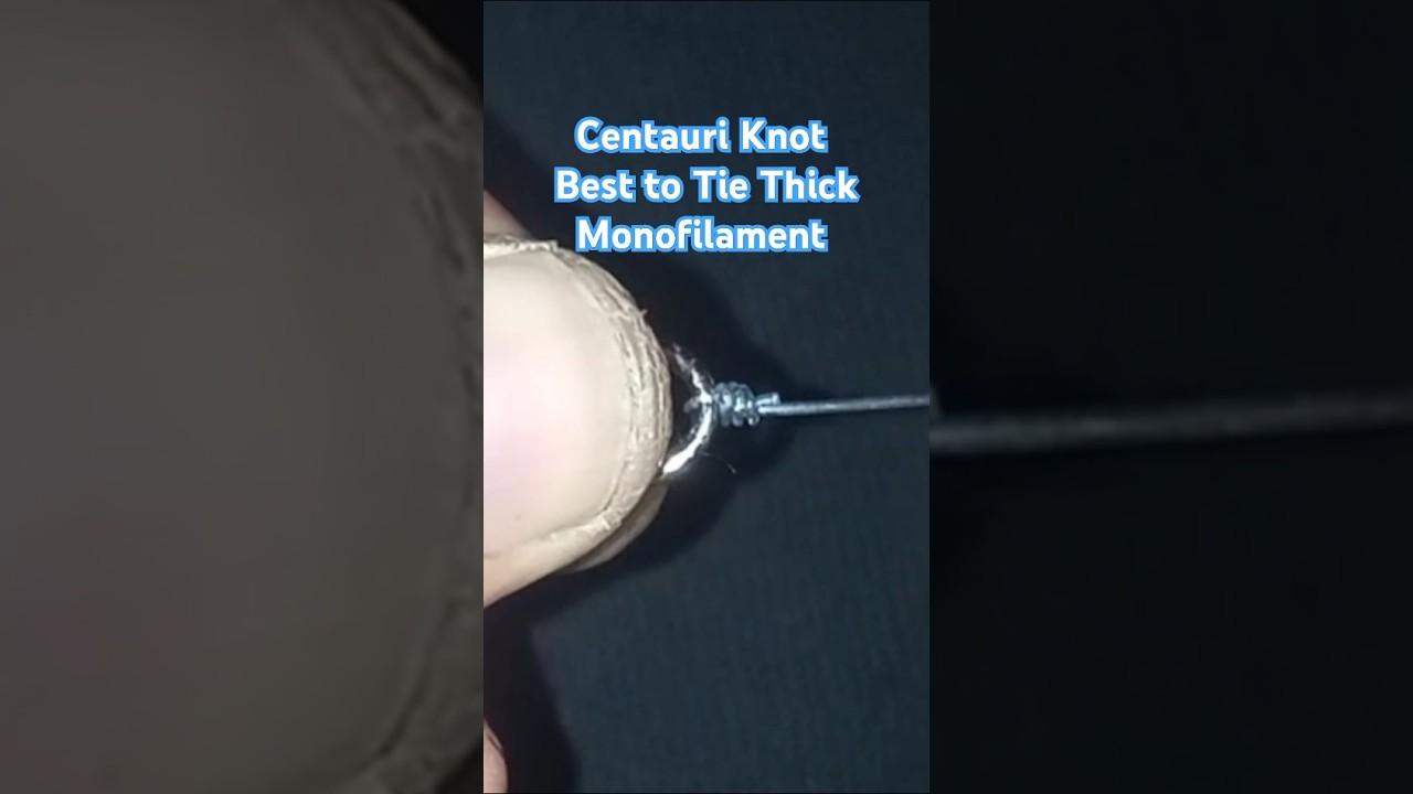 Centauri Knot: One of the best fishing knots to tie thick monofilament 