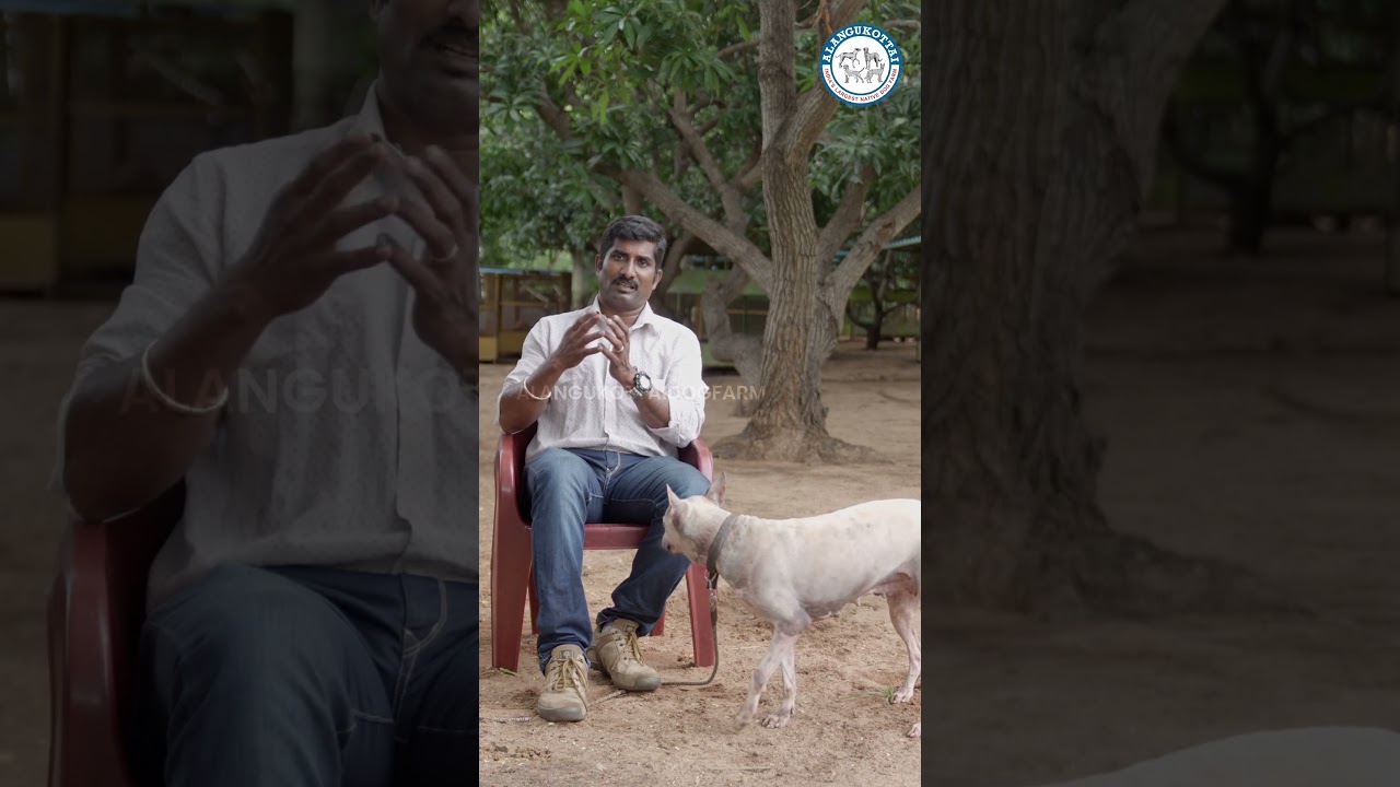 Jonangi பற்றி தெரிஞ்சுக்கோங்கா❤️ 