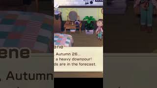 Don’t miss these treasure spots in Story of Seasons: Grand Bazaar! #storyofseasons #gamingtips