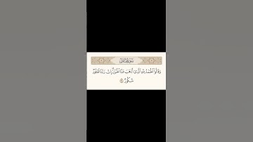 اكتب شيء تؤجر عليه ♡ #ماهر_المعيقلي #قرآن #سورة_غافر #quran