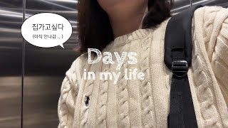 🇺🇸 phd student vlog  | prelim results, lab meeting & life not going to plan ..🫧