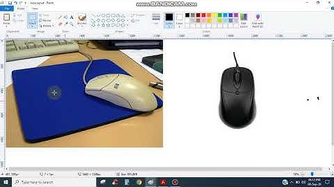 ICSE Computer class 2 L 5 back exercise