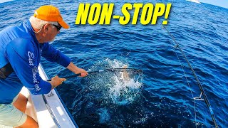 NON-STOP Ocean FLUKE Action Using Simplest Technique