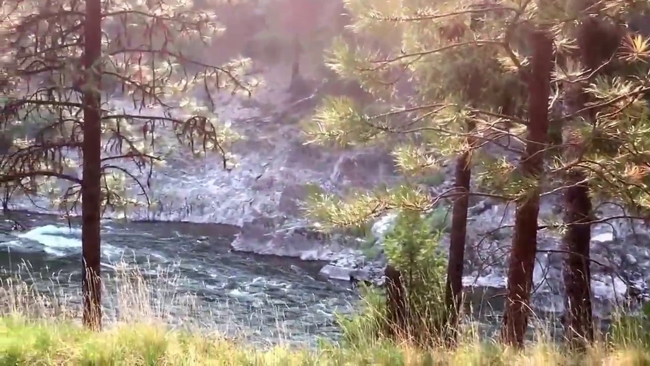 Tarkio River Lodge Montana YouTube