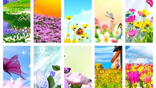 Nature Spring Beautiful Wallpapers Images Sceneries @Nature Beautiful Wallpapers Nature Spring Beautiful Wallpapers Images Sceneries @Nature Beautiful Wallpapers