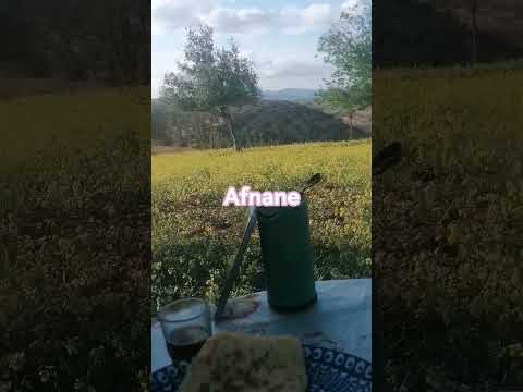 اكسبلور الجيلي Automobile Agro Food البخل الوكره التغطيه حلويات