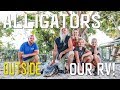 HANGING OUT with ALLIGATORS at the EVERGLADES OUTPOST S1 ||Ep6