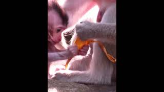 cutest babies#aroundyou#awesome  265 screenshot 1