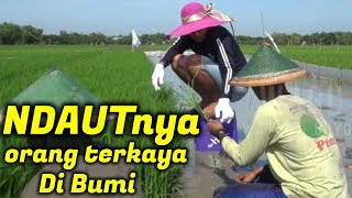 WAGU Ndeso - NDAUTnya Orang Terkaya Di Bumi