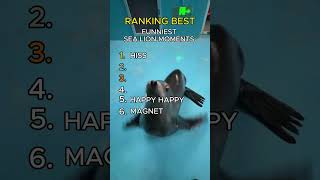 Ranking the Funniest Seal Moments 😂🦭