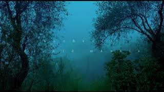 Øneheart & Orchid Mantis - Sleepy eyes (1hour)