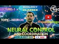 neural control and coordination class 11, neuron, neural control and coordination one shot for neet