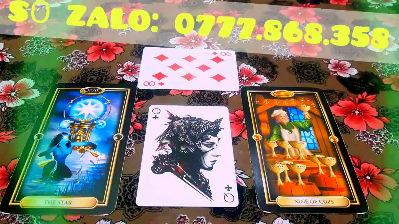 HẬU NGẮT KẾT NỐI HỌ ĐANG NGHĨ GÌ/TAROT READING/TIMELESS