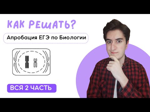 ПОЛНЫЙ РАЗБОР ВТОРОЙ ЧАСТИ ПРОБНИКА | Апробация Биология ЕГЭ от 10 марта
