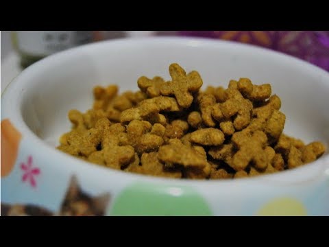 COMMENT ET COMPAREZ PET ÉVALUER LES ALIMENTS AVEC LA Pet Food Math Cheat Sheet