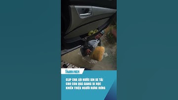 Clip cha lội nước xin xe tải cho con quá giang đi học khiến triệu người rưng rưng