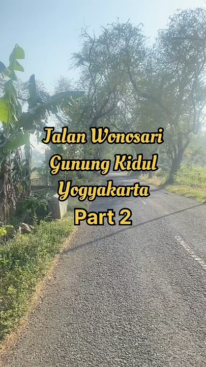 Wonosari Street, Gunung Kidul, Yogyakarta Part 2 #road #travel #shortvideo #fypyoutube #yogyakarta