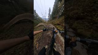 don't fall off... don't fall off... insane line!  #mtb #mountainbiking #mountainbike