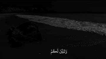 وَسَكَنتُمْ فِى مَسَٰكِنِ ٱلَّذِينَ ظَلَمُوٓاْ أَنفُسَهُم | سورة إبراهيم