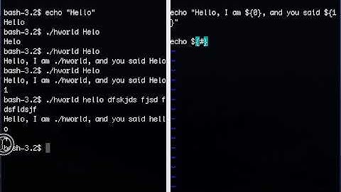 Introduction to Bash Shell Scripting - Conditionals, Loops, Arguments & More!