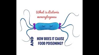 What is Listeria Monocytogenes?