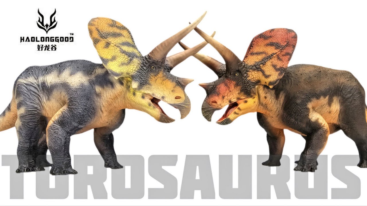 BEAUTIFUL Haolonggood TOROSAURUS Review!!! Both versions!!!