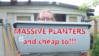 Look at these massive planters, they're so cheap!!