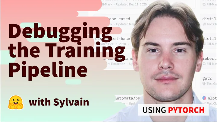 Debugging the Training Pipeline (PyTorch)