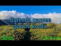 Halloo Daawwee Urgumaa Hamaatu Harkaa Naqabaa Ethiopian Oromo Lyrnenecs Music Halloo Daawwee Urgumaa Hamaatu Harkaa Naqabaa Ethiopian Oromo Lyrnenecs Music