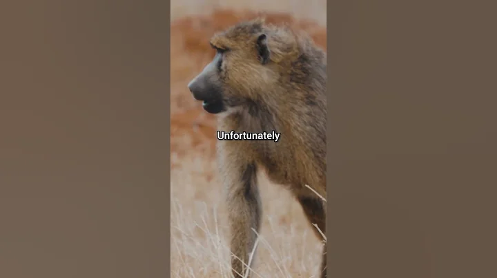 Top 3 Events You Never Knew Happened on October 26